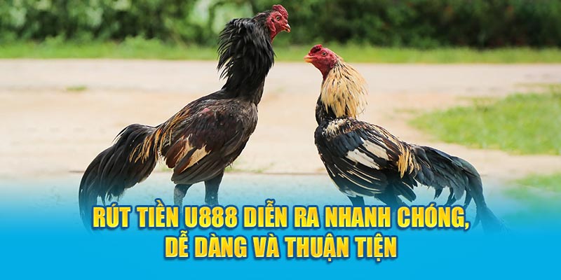 Rút tiền đá gà U888 diễn ra nhanh chóng, dễ dàng và thuận tiện